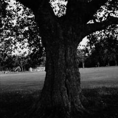 A New Place 2 Drown (Instrumentals)