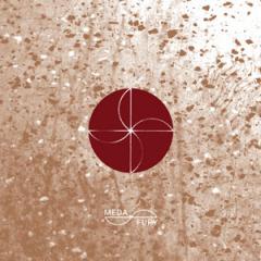 Altered Visions EP