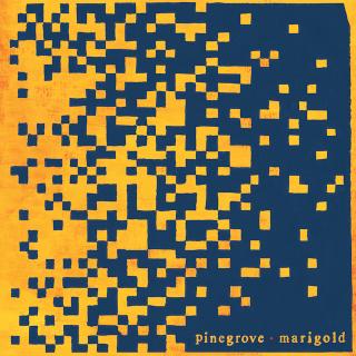 Pinegrove / 米でカルト的人気を誇るエモさ全開ロックバンド、パイングローヴが新曲「The Alarmist」をアコースティックバージョンの動画と合わせて公開!最新アルバム『Marigold』は今週末1月17日(金)にリリース!