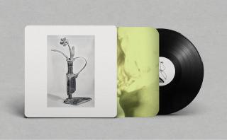 Dreams For Somebody Else