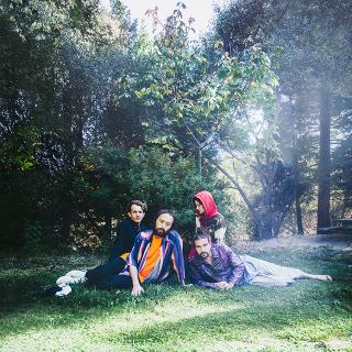 Big Thief / インディーフォーク界を揺るがす注目株!ブルックリン発のビッグ・シーフが〈4AD〉移籍後初の最新アルバムをリリースへ!先行シングルがPitchforkのBest New Trackに選出!