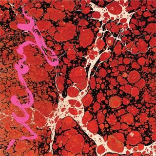 ICEAGE / アイスエイジが新作『BEYONDLESS』のリリースと緊急来日を発表!スカイ・フェレイラ参加の新曲「PAIN KILLER」を公開。ニューヨーク、ロサンゼルス、京都/東京にてスペシャルイベント開催。