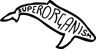 SUPERORGANISM / スーパーオーガニズムの最新アルバム『World Wide Pop』が7月15日にリリース決定! 星野源、CHAI、スティーヴン・マルクマス、ピ・ジャ・マ、ディラン・カートリッジら世界中から超豪華ゲストが参加! NEWシングル「Teenager」のミュージックビデオが公開!