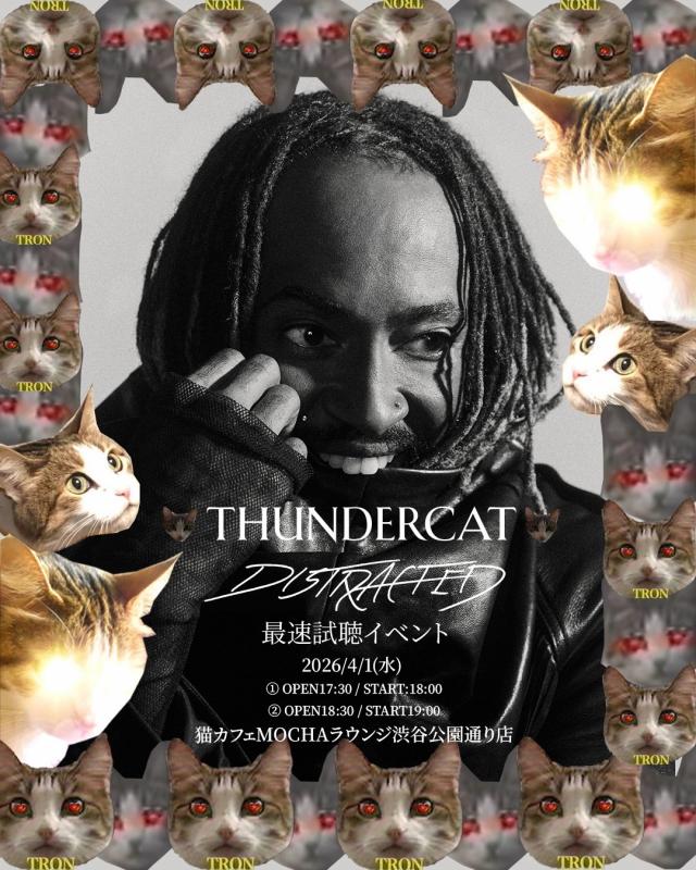 THUNDERCAT / 最新アルバム『Distracted』のリリースを記念して 4月1日に猫カフェで先行試聴イベントが開催!