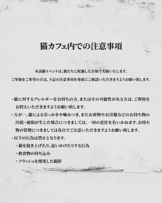 THUNDERCAT / 最新アルバム『Distracted』のリリースを記念して 4月1日に猫カフェで先行試聴イベントが開催!