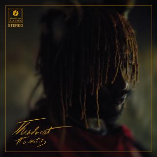 Thundercat / 待望のNEWアルバム『It Is What It Is』リリース直前! Eテレ「シャキーン!」にサンダーキャットが参戦!