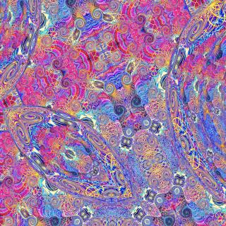 Placenta