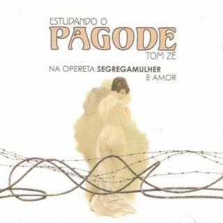Estudando o Pagode