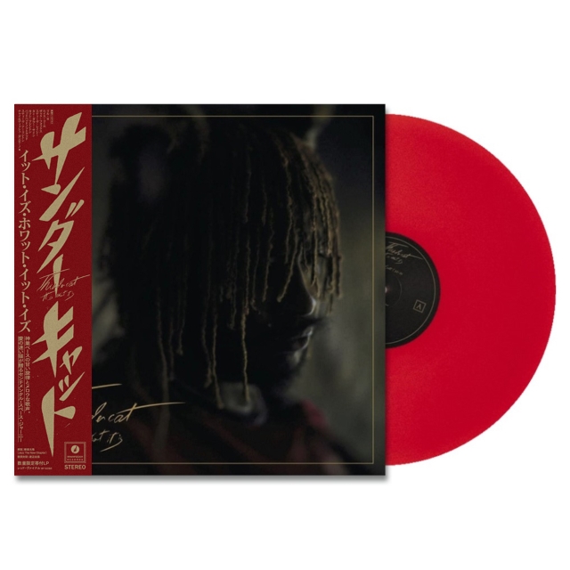 邦楽 It's Me BEATINK.COM / It Is What It Is (日本語帯付LP)