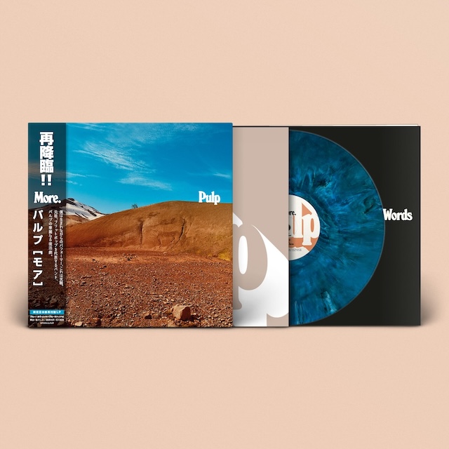 たぬき 希少 BEATINK.COM More / 洋楽