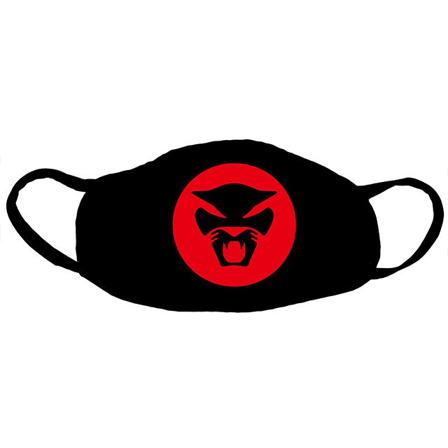 Thundercat Logo Mask
