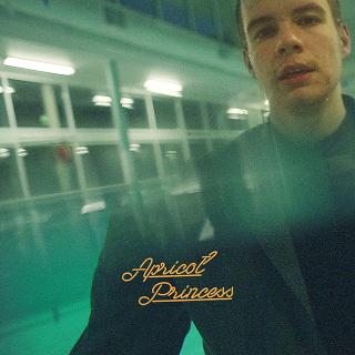 REX ORANGE COUNTY / マック・デマルコからタイラー・ザ・クリエイターまでインディー・ヒーローたちが大絶賛!ブレイク必至のレックス・オレンジ・カウンティによる大人気アルバムが世界初CD化で緊急リリース!すでにサマソニ出演も話題!さらにタワレコメンにも決定!