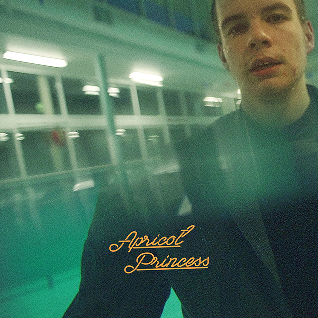 Beatink Com Rex Orange County マック デマルコからタイラー ザ クリエイターまでインディー ヒーローたちが大絶賛 ブレイク必至のレックス オレンジ カウンティによる大人気アルバムが世界初cd化で緊急リリース すでにサマソニ出演も話題 さらにタワレコメン