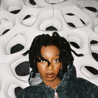 LITTLE SIMZ / 先週CDとLPでも発売を迎えた最新作『NO THANK YOU』からリード曲「GORILLA」のミュージックビデオが公開!