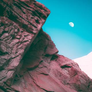 Bonobo /  新曲「Linked」を突如リリース!12インチは本日より一部店舗にて先行販売!