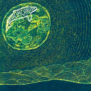 Superorganism / サマソニへの出演直前にデビュー作『Superorganism』の再発が決定!