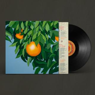 For The First Time, Again