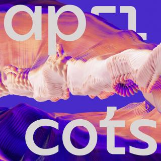 Bicep / バイセップ、最新作『Isles』を2021.01.22にリリース! 本日新曲「Apricots」をMVと共に公開!