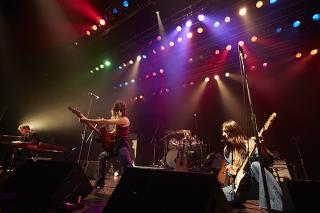 THE LEMON TWIGS / 荒唐無稽で野心的なロック・オペラ『Go To School』を最強ラインナップで披露!