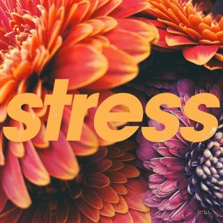 Tycho /  前作に続き、最新作『Weather』がグラミー賞ノミネートされたティコ、EP『Stress』を突如リリース!同時に「No Stress」のMVを公開!